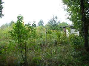 Zahrada v Blatné vedle Podškalského rybníka